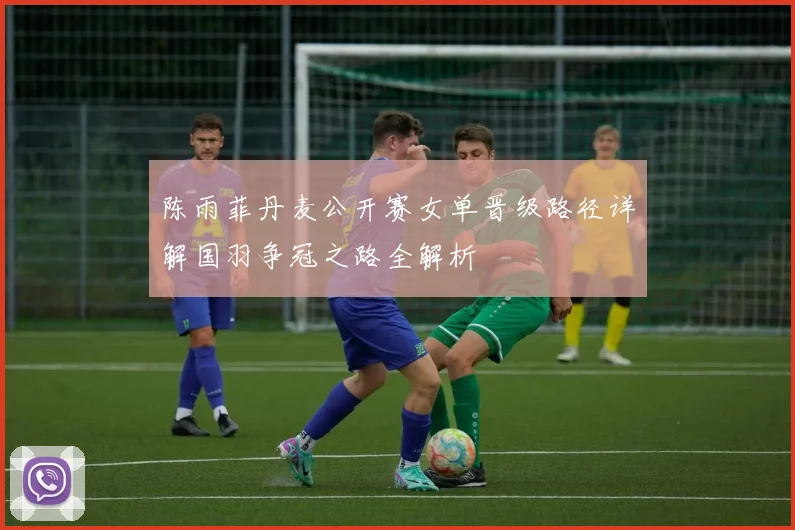 陈雨菲丹麦公开赛女单晋级路径详解国羽争冠之路全解析