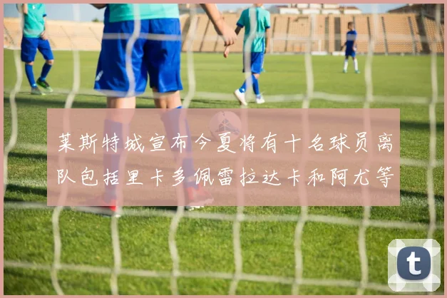 莱斯特城宣布今夏将有十名球员离队包括里卡多佩雷拉达卡和阿尤等人