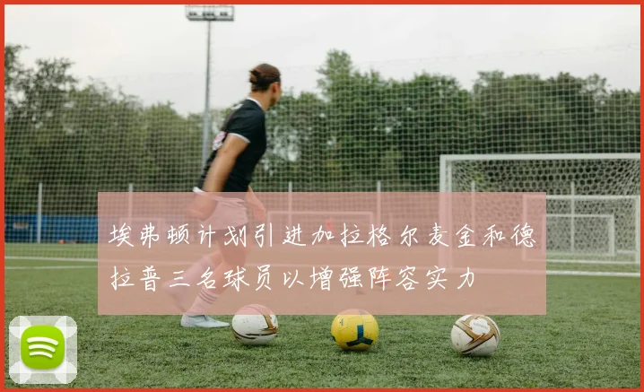 埃弗顿计划引进加拉格尔麦金和德拉普三名球员以增强阵容实力